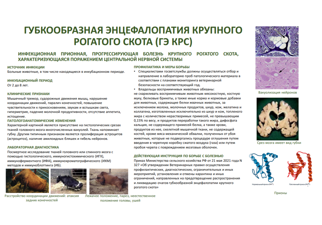 ГЭ КРС.png